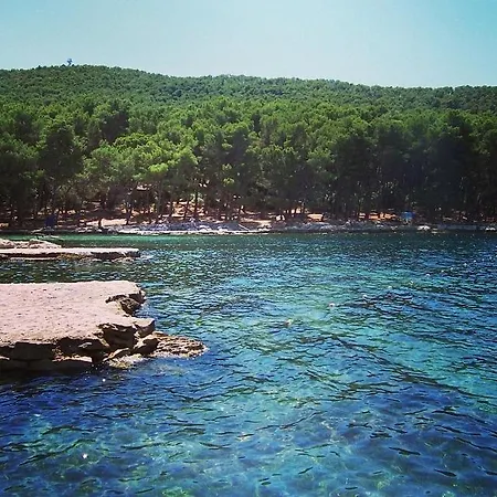 Ani Solin