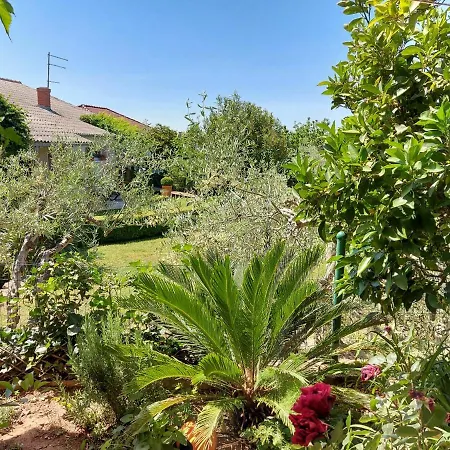 Ani Διαμέρισμα *